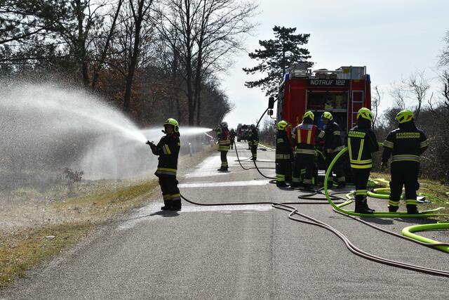 Foto: BFKDO Mistelbach