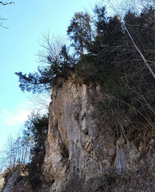 Foto: Veronika Frank