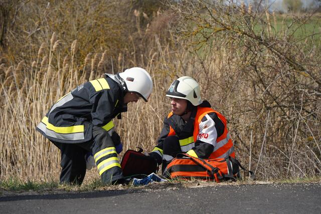 Foto: BFKDO Mistelbach
