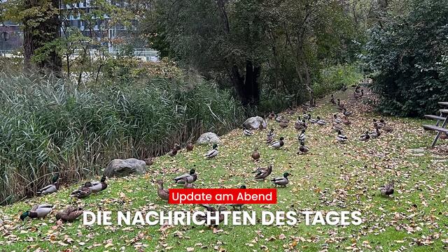 Mit dem MeinBezirk "Update am Abend" erfährst du, was heute in Tirol los war. Das sind die wichtigsten Nachrichten aus Tirol. | Foto: MeinBezirk Tirol