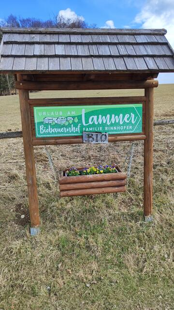 Beim Biohof Lammer... | Foto: I.Wozonig