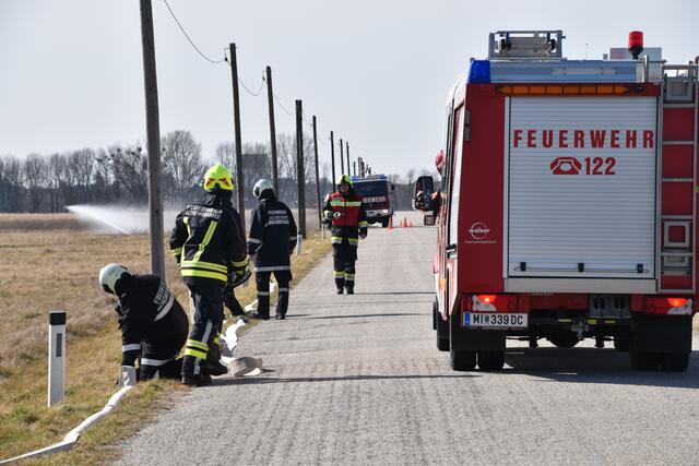 Foto: BFKDO Mistelbach