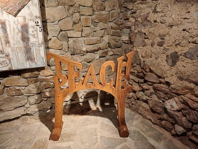 Teach Peace | Foto: Monika Hammerl