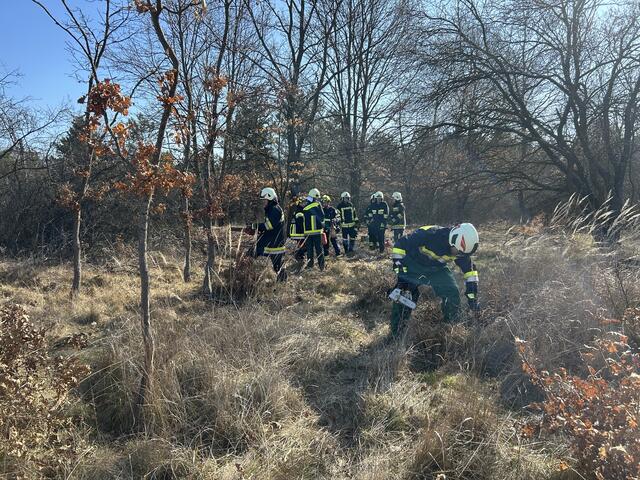 Foto: BFKDO Mistelbach
