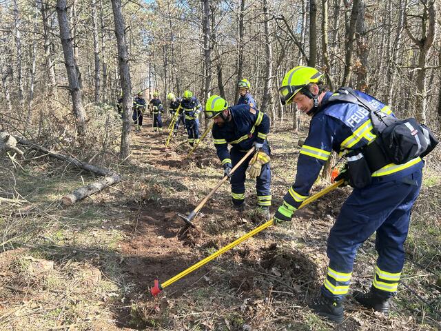 Foto: BFKDO Mistelbach