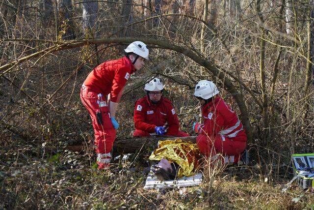 Foto: BFKDO Mistelbach