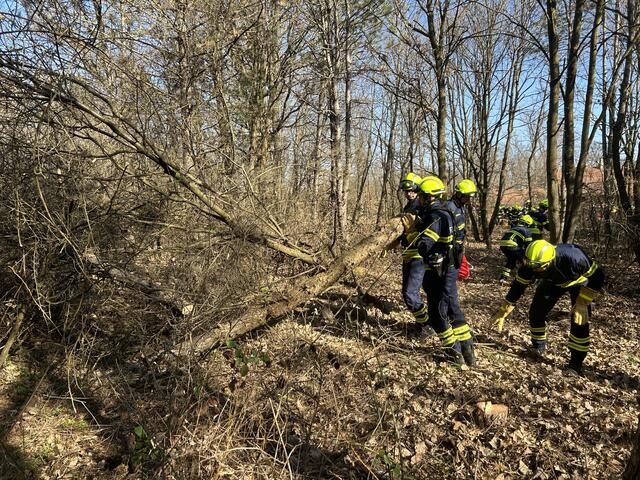 Foto: BFKDO Mistelbach