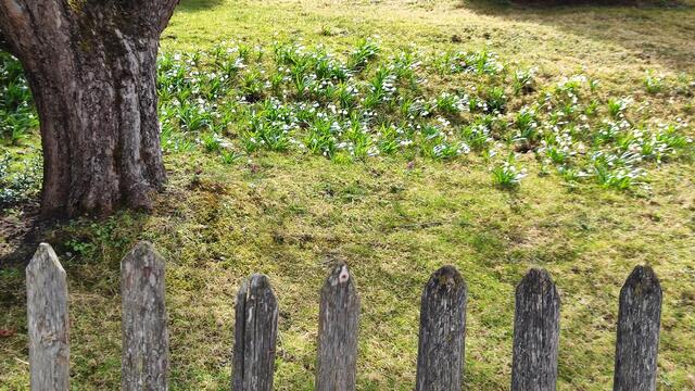Ein netter Blick über den Zaun... | Foto: I.Wozonig