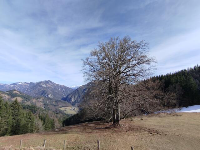 Blick ins Tal