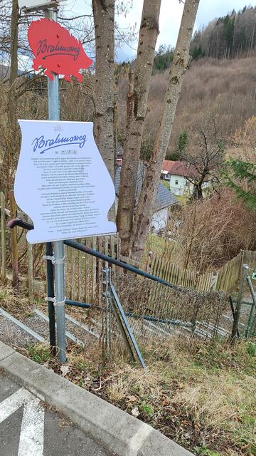 Die Nasenstraße gehen wir weiter, und hier über die Stiege in den Steinbachgraben... | Foto: I.Wozonig 