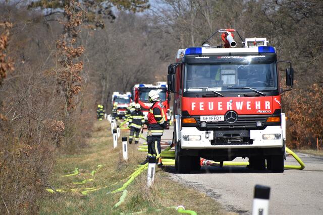 Foto: BFKDO Mistelbach