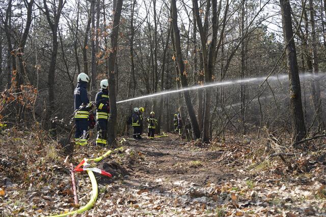 Foto: BFKDO Mistelbach