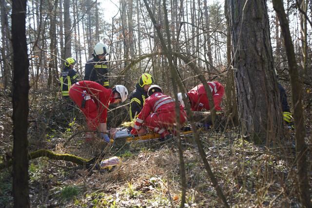 Foto: BFKDO Mistelbach