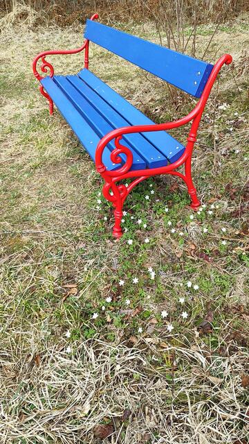 Das hätte Brahms bestimmt auch gefallen... | Foto: I.Wozonig