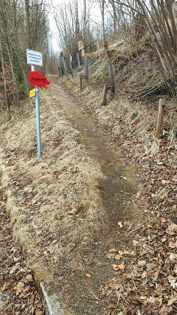 Jetzt geht's ein kurzes Waldstück bergwärts.. | Foto: I.Wozonig 