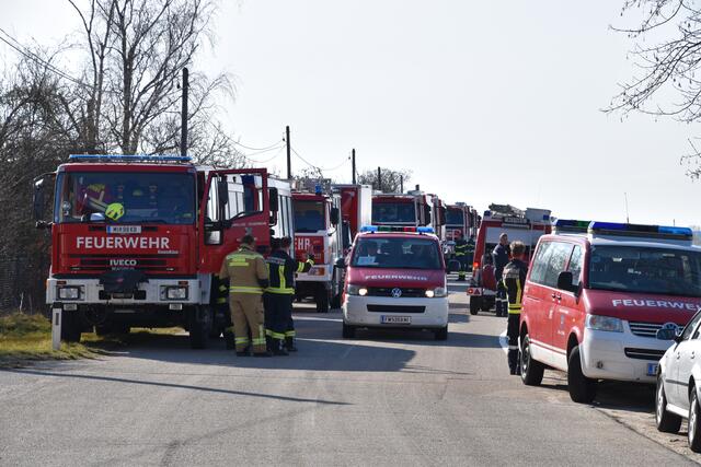 Foto: BFKDO Mistelbach