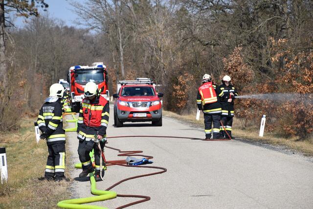 Foto: BFKDO Mistelbach