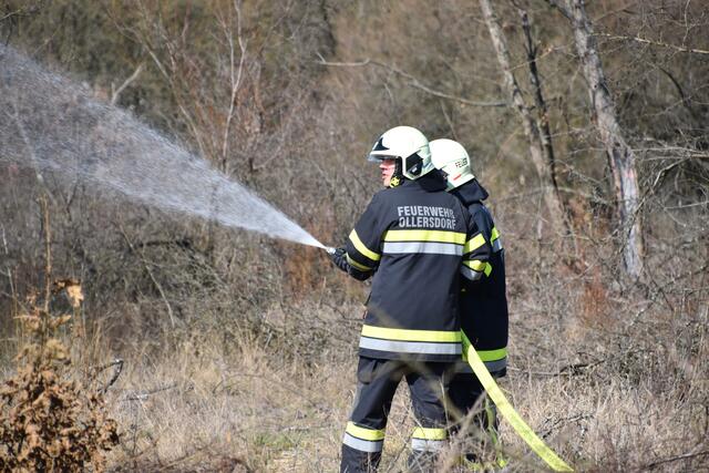 Foto: BFKDO Mistelbach