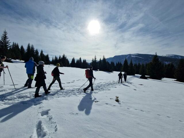 Foto: Scharfegger’s Raxalpen Resort