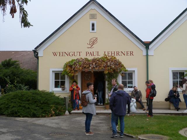 Das Vermeiden von künstlicher Bewässerung und der Fokus auf widerstandsfähige Rebsorten wie Blaufränkisch zeigen die langfristige Anpassungsstrategie des Weinbaus im Burgenland. | Foto: Vanessa Wittmann
