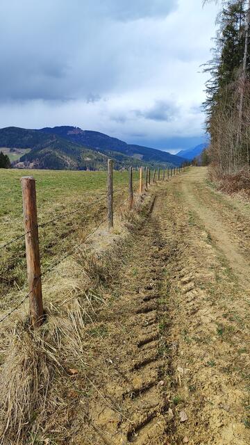 Schön ist es da den Waldrand entlang zu gehen... | Foto: I.Wozonig