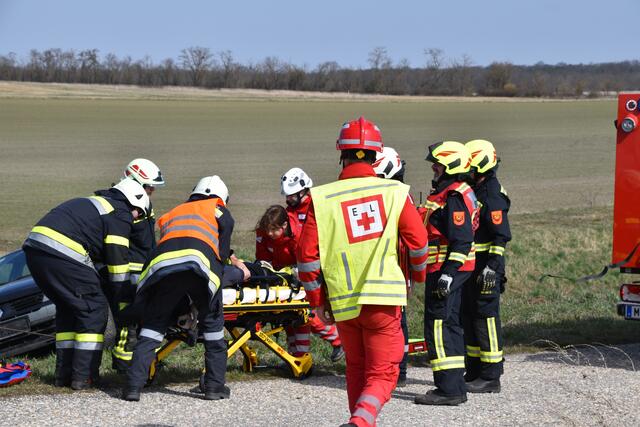 Foto: BFKDO Mistelbach