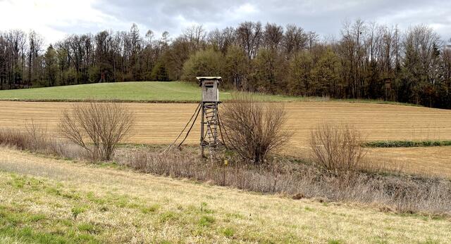 In Mogersdorf erzählt man sich von einem Jäger, der einst voller Stolz und Kaltherzigkeit durchs Leben schritt und am Ende von einem furchtbaren Fluch eingeholt wurde. | Foto: Elisabeth Kloiber