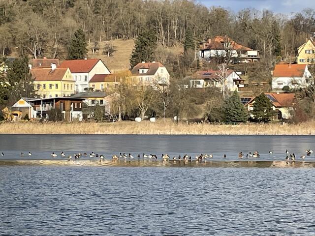 Foto: Martin Wurglits