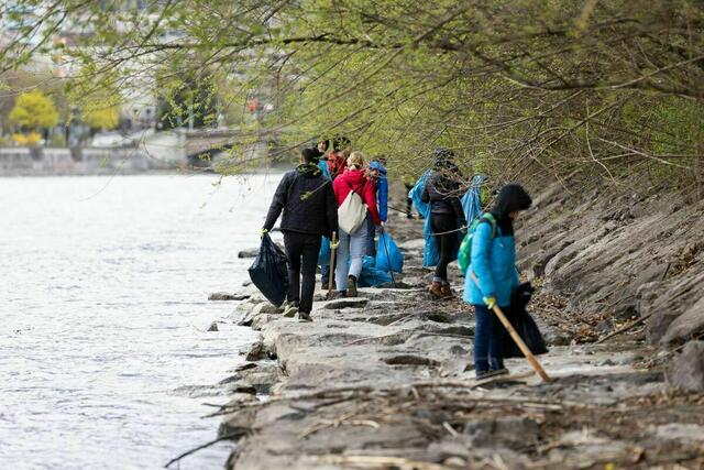Ob in den Wäldern oder an den Flüssen: ab Samstag wird wieder eifrig Müll gesammelt. | Foto: IKB