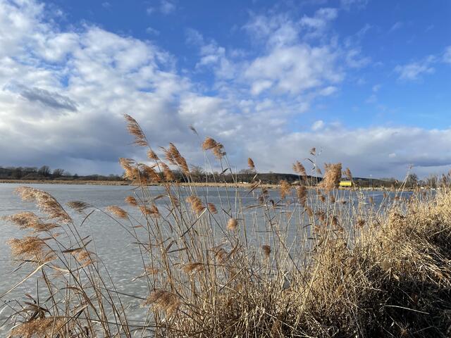 Foto: Martin Wurglits