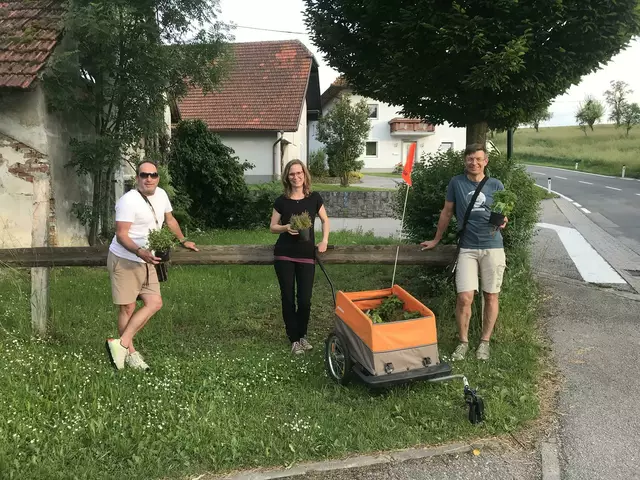 Foto: Grüne Bezirk Grieskirchen