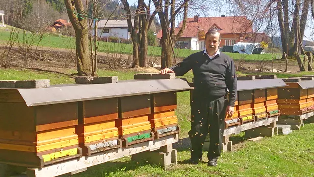 Der Wernberger Imker und Obmann des Bienenzuchtverein Umberg Albin Franz Otti hat in ganz Wernberg verteilt 286 Bienenstöcke.
 | Foto: Privat 