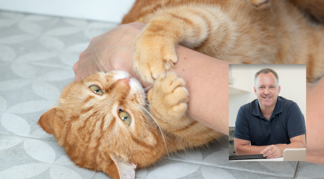 Der Liebenfelser Allgemeinmediziner Martin Treven rät zu rascher Behandlung nach einem Tierbiss: "Am besten innerhalb von sechs Stunden zum Arzt oder ins Krankenhaus." | Foto: stock.adobe.com/Khorzhevska / glanmed.at