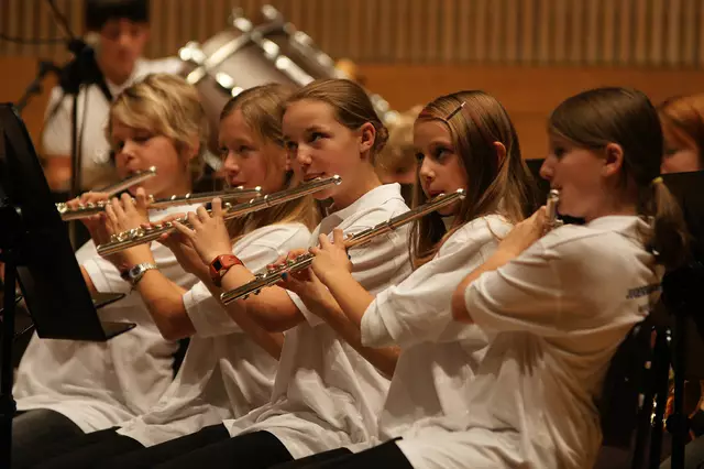 Die steirischen Musikschülerinnen und Musikschüler stehen im Mittelpunkt aller Überlegungen.  | Foto: Die Abbilderei