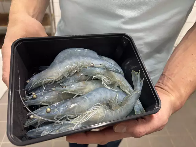 Foto: Simon Haslauer