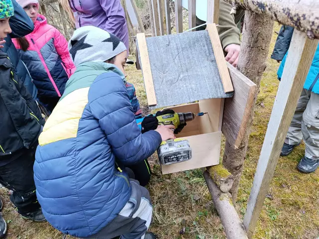 Die Wildfütterung wird montiert. | Foto: VS Stams