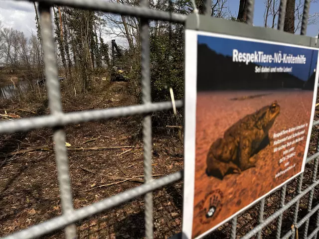 Foto: RespekTiere