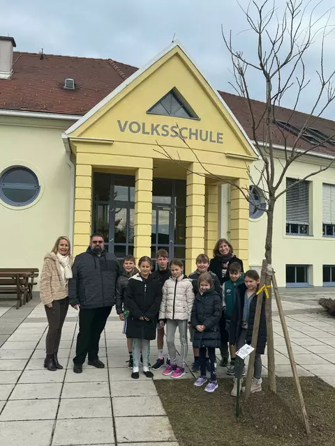 Der Jubiläumsbaum vor der Volksschule Ritzing soll den Schülerinnen und Schülern in den kommenden Jahren Schatten spenden und das Schulumfeld verschönern. | Foto: Gemeinde Ritzing