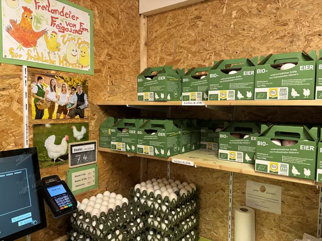 Beim Eingang in Judenburg befinden sich direkt die Eier. | Foto: MeinBezirk