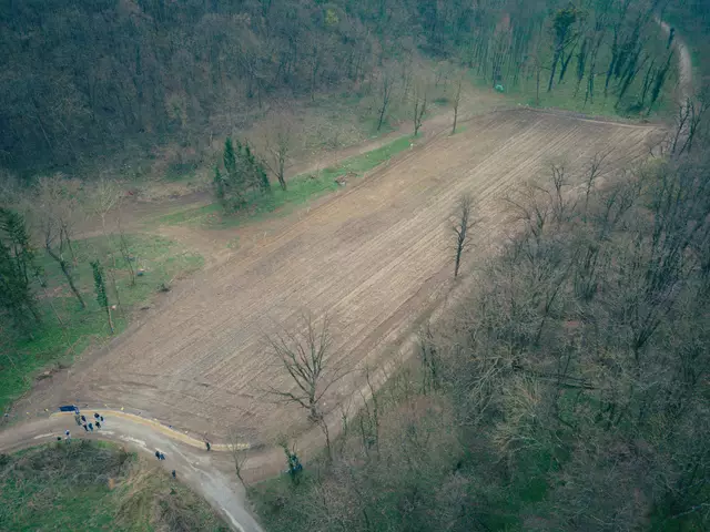 Der Wald entsteht auf einer Fläche von 1,2 Hektar. | Foto: First Vienna FC 1894
