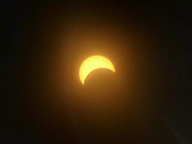 Foto: Unsplash/ Karin Kim