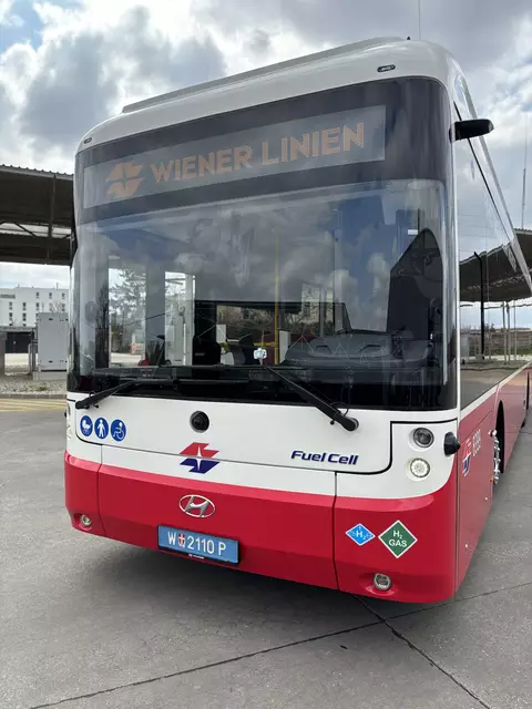Foto: Andreas Pölzl/MeinBezirk