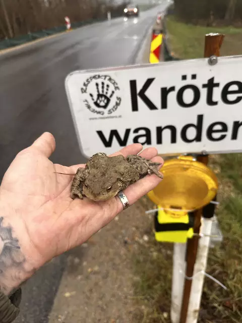 Foto: RespekTiere
