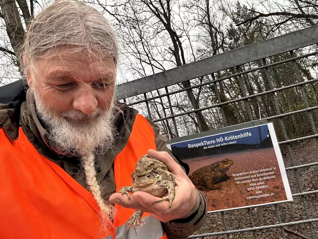 Foto: RespekTiere