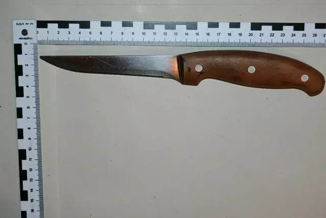Mit einem Messer soll ein Jugendlicher seine jüngere Freundin am Oberkörper verletzt haben. Der Tatverdächtige verständigte selbst die Polizei.  | Foto: LPD Wien