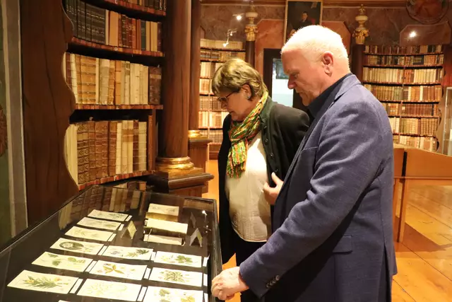 Die Ausstellung "Flora et Labora" zeigt u.a. eine großartig bebilderte Pflanzensammlung sowie historische Anleitungen für deren medizinische Anwendungen.  | Foto: Edith Ertl