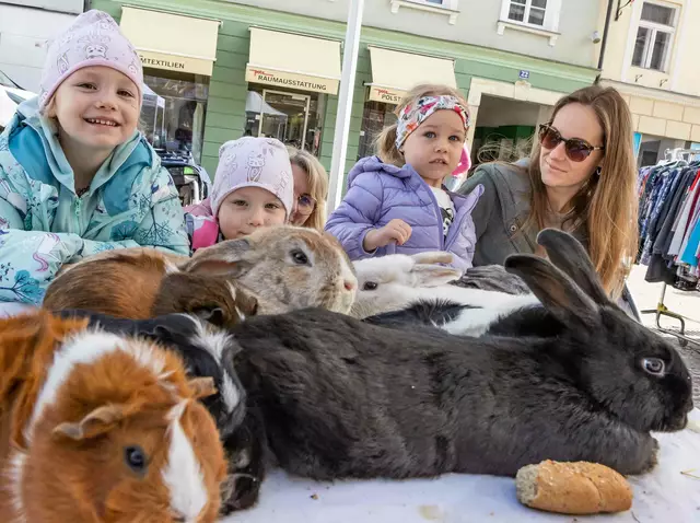 Foto: Stadt St. Veit