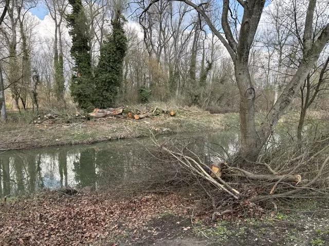 Der Wasserpark wird auf Fordermann gebracht. | Foto: Victoria Edlinger