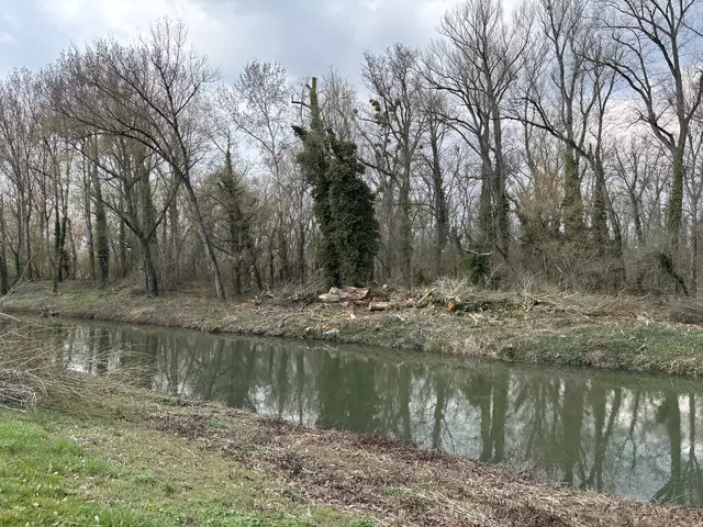 Foto: Victoria Edlinger