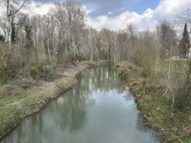 Hier werden Bäume geschnitten. | Foto: Victoria Edlinger